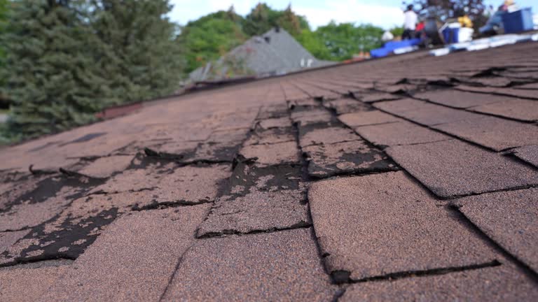 Sheet Metal Roofing in Las Quintas Fronterizas, TX