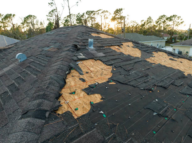 Best Commercial Roofing Services  in Las Quintas Fronterizas, TX